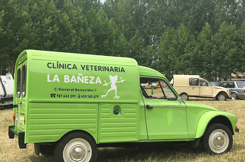 Servicio a domicilio | Clínica Veterinaria La Bañeza
